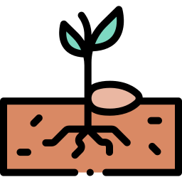 Germination icon