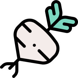 Radish icon