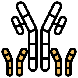 anticorps Icône