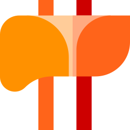 Liver icon