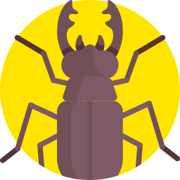 Beetle icon