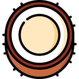 Coconut icon