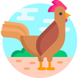 gallo icono