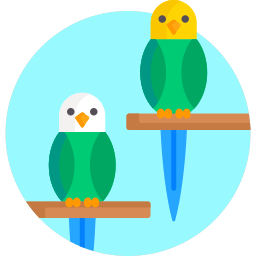Parakeet icon