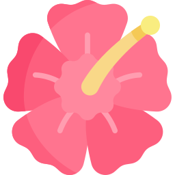 hibisco icono