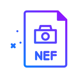 Nef icon