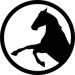 Horse raising front feet inside a circle outline icon