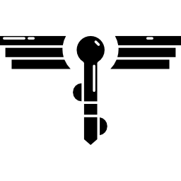sleutelvariant met vleugels icoon