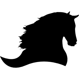 vista laterale della siluetta del cavallo a destra icona