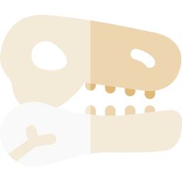 Skull icon