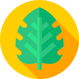 monstera icon