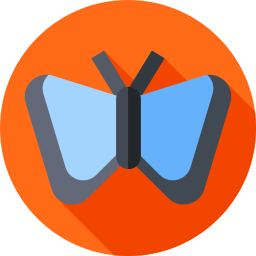 Butterfly icon