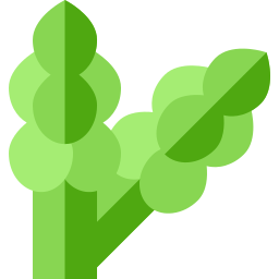 Asparagus icon