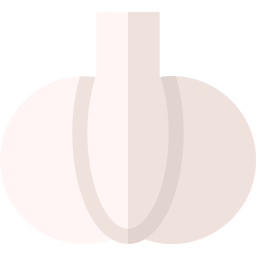 Garlic icon