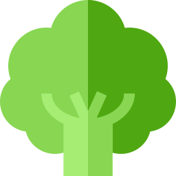 Broccoli icon