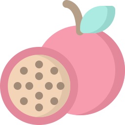 Passion fruit icon