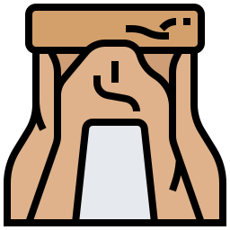 felsen icon