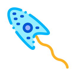 胚芽 icon