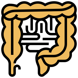 Intestine icon