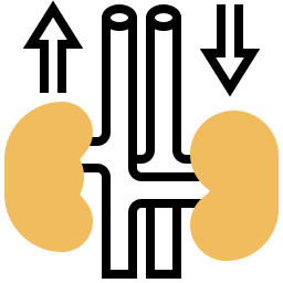 Kidneys icon