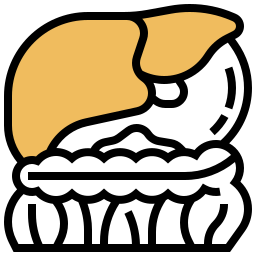 Liver icon