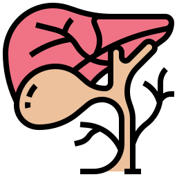 Gallbladder icon