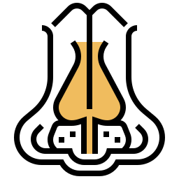 nase icon