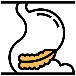 bauch icon