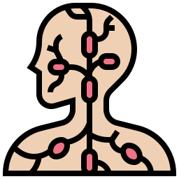 ganglions lymphatiques Icône