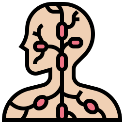 Лимфатический узел иконка