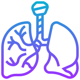 Lungs icon