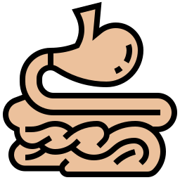 intestino tenue icona