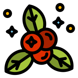 Berry icon