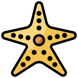 estrela do mar Ícone