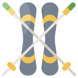 skii icon