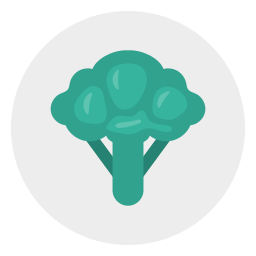 Broccoli icon