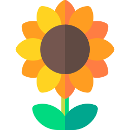 Sunflower icon