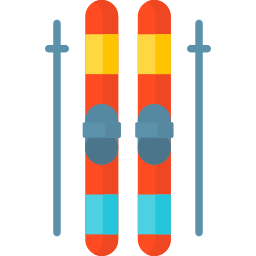 Ski poles icon