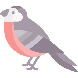 Bird icon