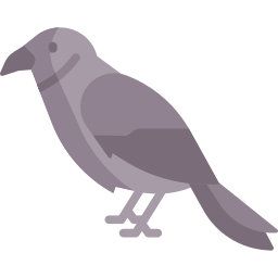 Crow icon