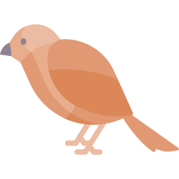 moineau Icône