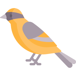 Bird icon