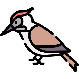 pájaro carpintero icono