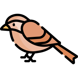 Nightingale icon