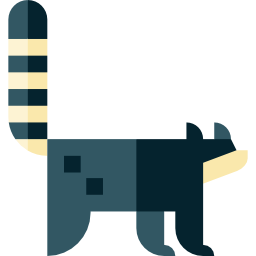 waschbär icon