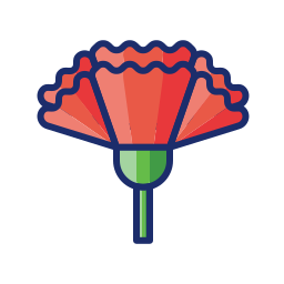 Carnation icon