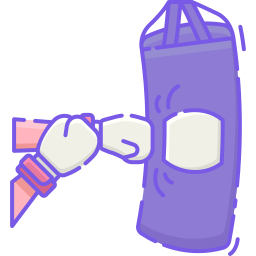 boxsack icon