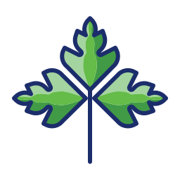 Parsley icon