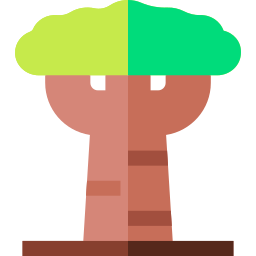 Baobab icon