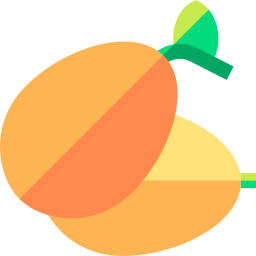 naranja china icono